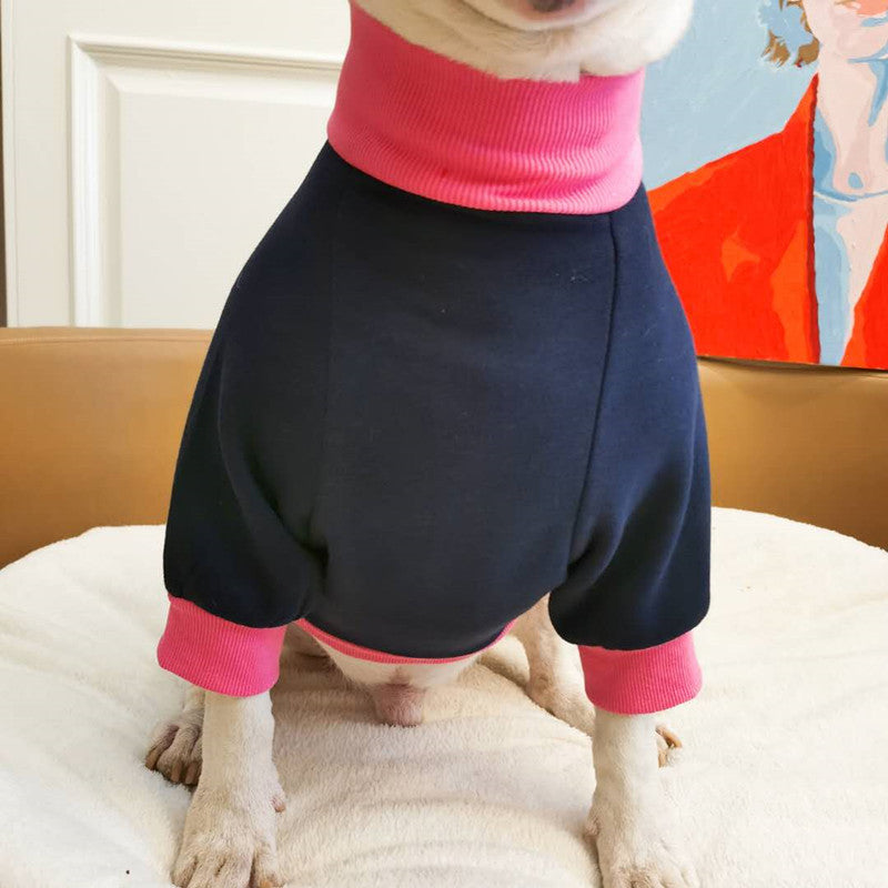 Warm Fluorescent Contrast Sweater: The Ultimate Comfort for Your Furry Friend